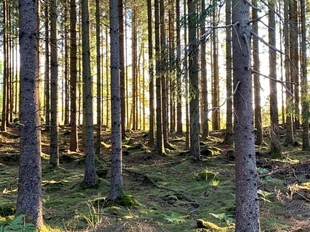 Вилла En Lantlig Idyll Med Skogen Precis Utanfoer Doerren! Улларед Экстерьер фото